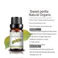 Wholesale Natural Oil Sweet Perilla Essential Oil for Massage