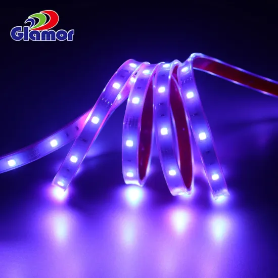 Outdoor RGB 12V/24V IP68 IP65 Cold White Warm White Remote Control Flexible Silicone Tube LED Strip for Boat & Car Decoration