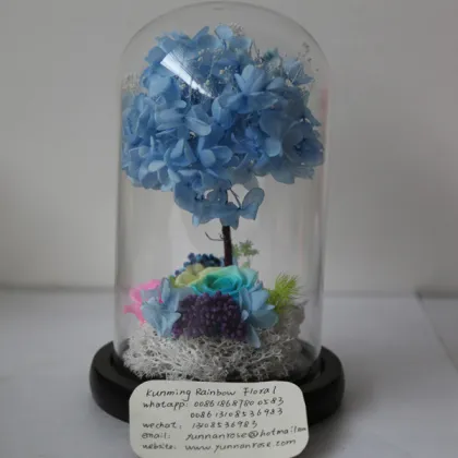 Venus Et Fleur Real Rose Leaves for Home-Decoration