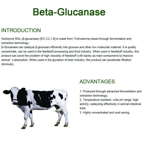 Thức ăn enzyme glucanase beta