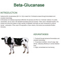 Nourrir enzyme bêta glucanase