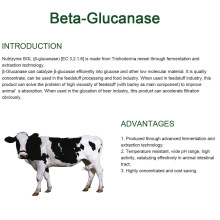 Nourrir enzyme bêta glucanase