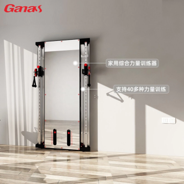 Bilateral Wall Mounted Functional Trainer White Mirror