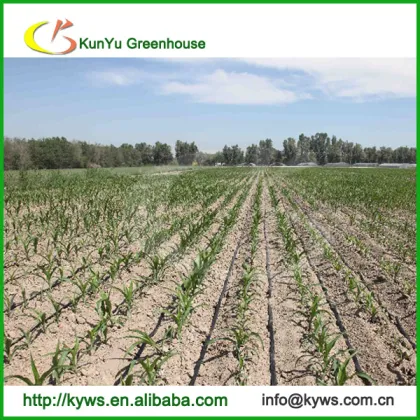 drip irrigation/drip tape/greenhouse equipment