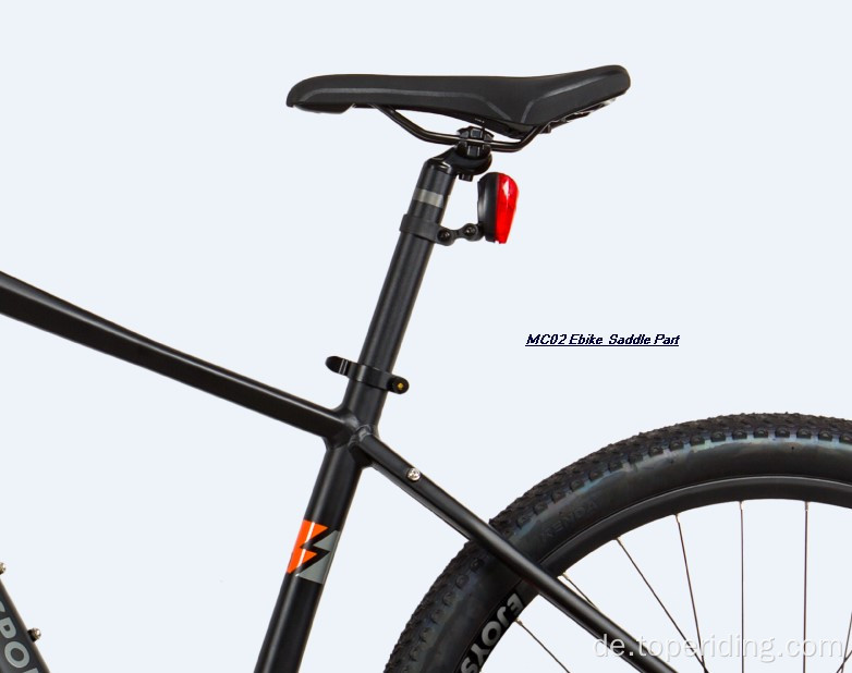 Customized MC02 Mountainbikes Elektrisch