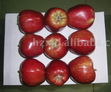 Red delicious apple
