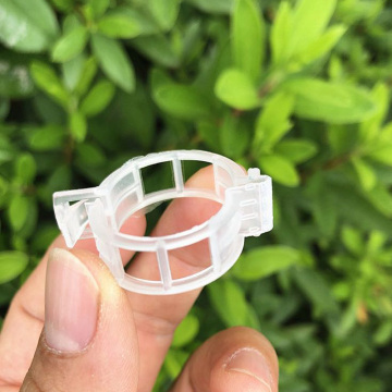 Greenhouse tomato support fixing clip pe white clips