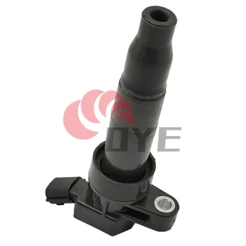 Hyundai Kia Ignition Coils: 27300-3F100 & 060717149012 for Hyundai Sonata
