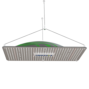 PPFD สูง LED Grow Lights พืชเรือนกระจก