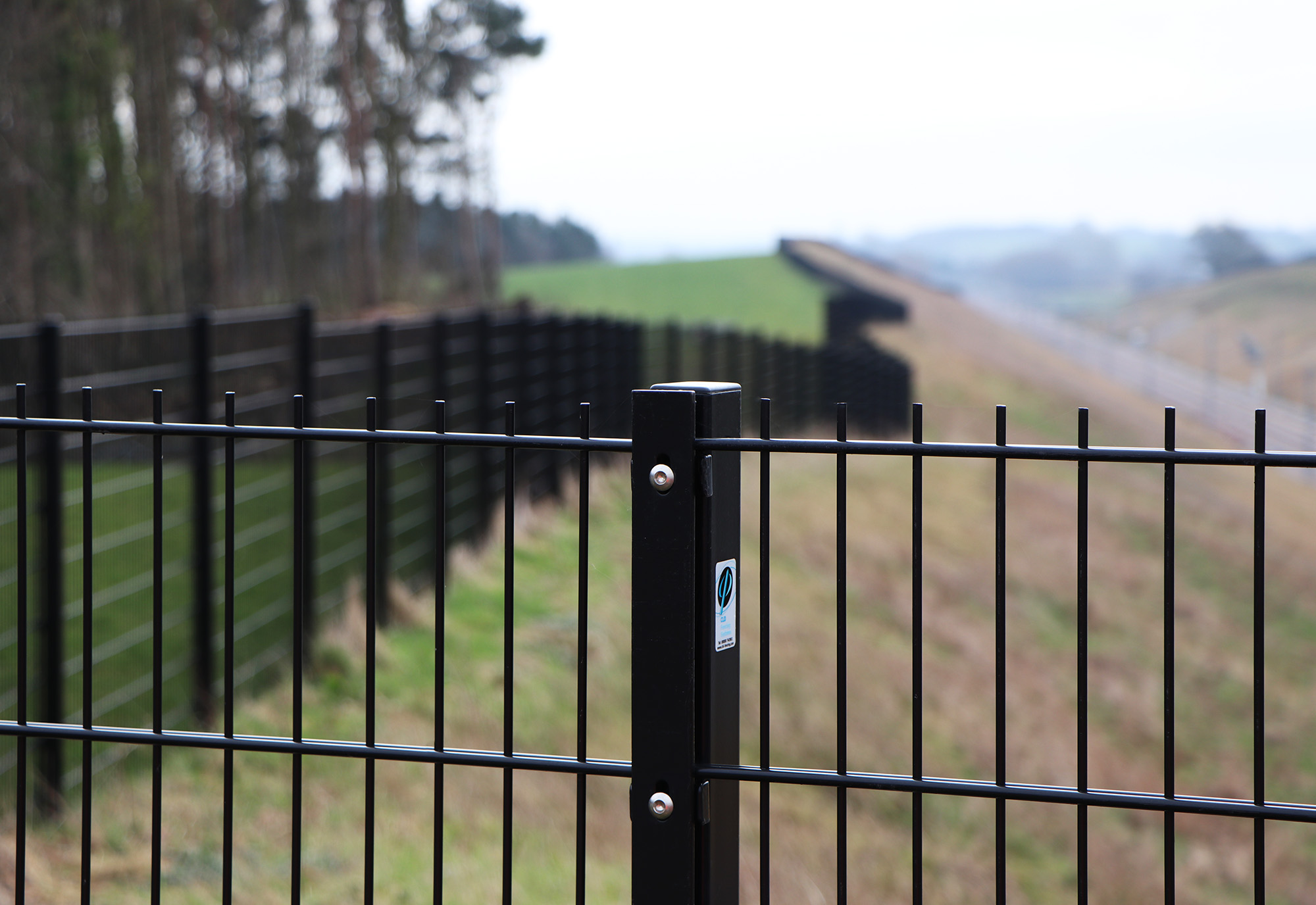double wire fence (179)