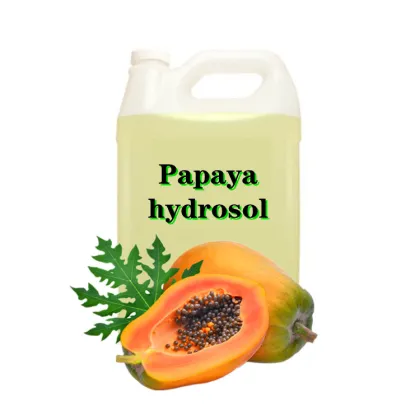 Papaya Hydrosol Papaya Fruit Extract Oil with Bulk Price New for skin care