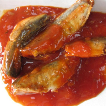 Makrele in dunkler Tomatensauce Fischkonserven