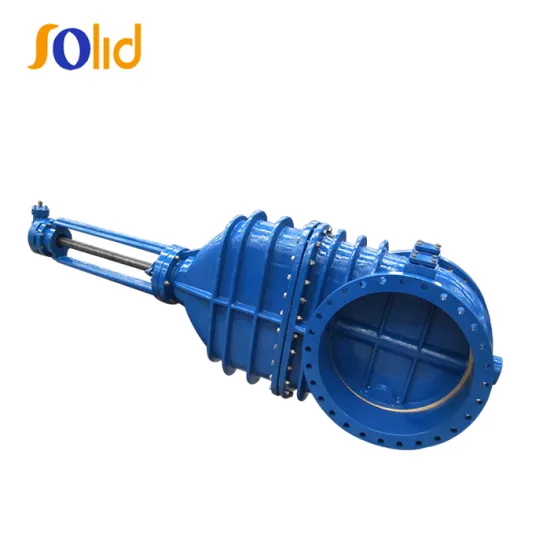 Big Size Ductile Iron Rising Stem Resilient Long Seated Gate Valve