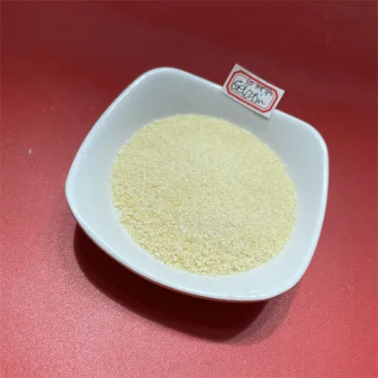 Hot Sale Gelatin Powder Best Price