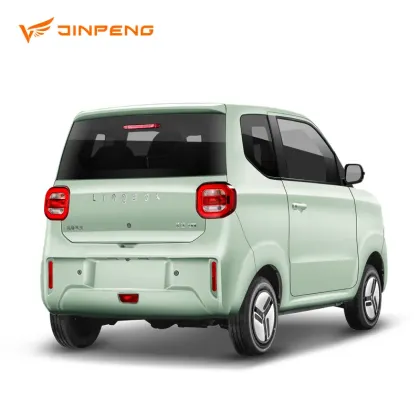 Pure Electric Mini Car for Family Outings