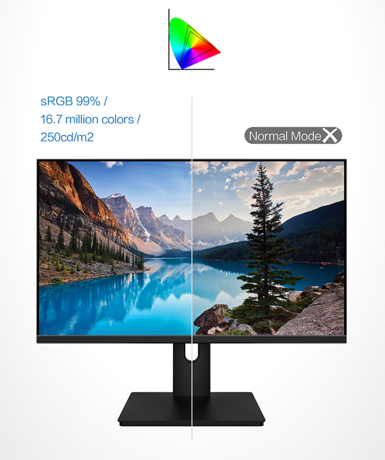 27 Inch Desktop Monitor