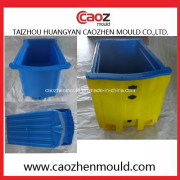 Plastik Injektion Durable Fisch Crate Mould in China