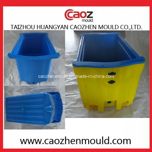 Plastic Injection Durable Fish Crate Mould in China