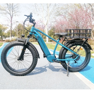 Hot Sale: 26 inch dikke band achternaaf motor 750W elektrische fiets - ultiem stedelijk woon -werkvermogen