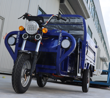 Kereta elektrik kelajuan rendah untuk orang dewasa
