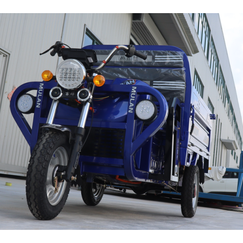 High Speed Electric Tricycle Loading Capacity