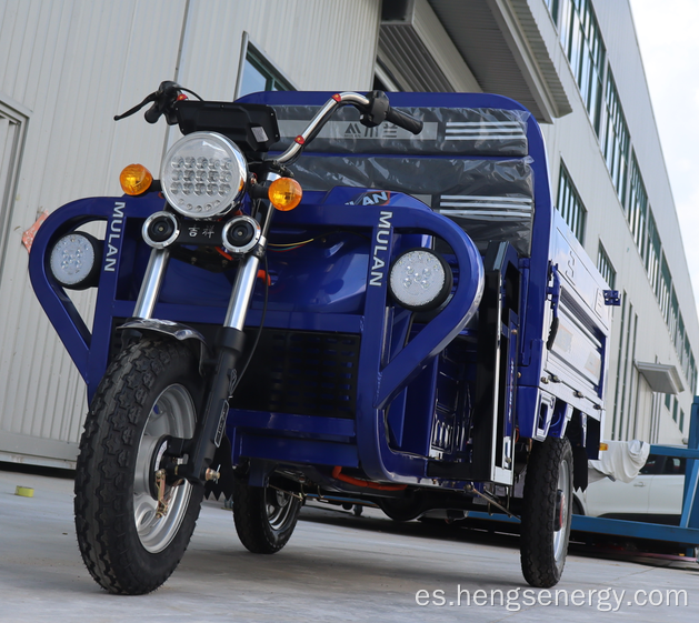 Coche eléctrico de baja velocidad para adultos