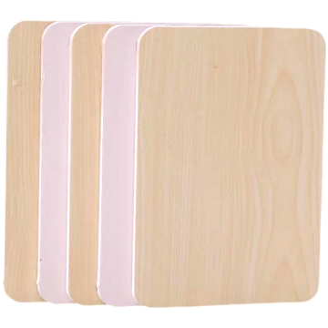 Impact Resistant Outdoor Moisture and Mildew Proof Anti-Bacterial HPL Wall Cladding Panel