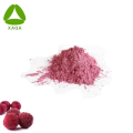 Water-Soluble Freeze-Dried Bayberry Wax Myrtle Powder