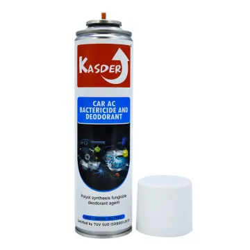 Kasder Foam Type Car Air Conditioner Bactericide Deodorant