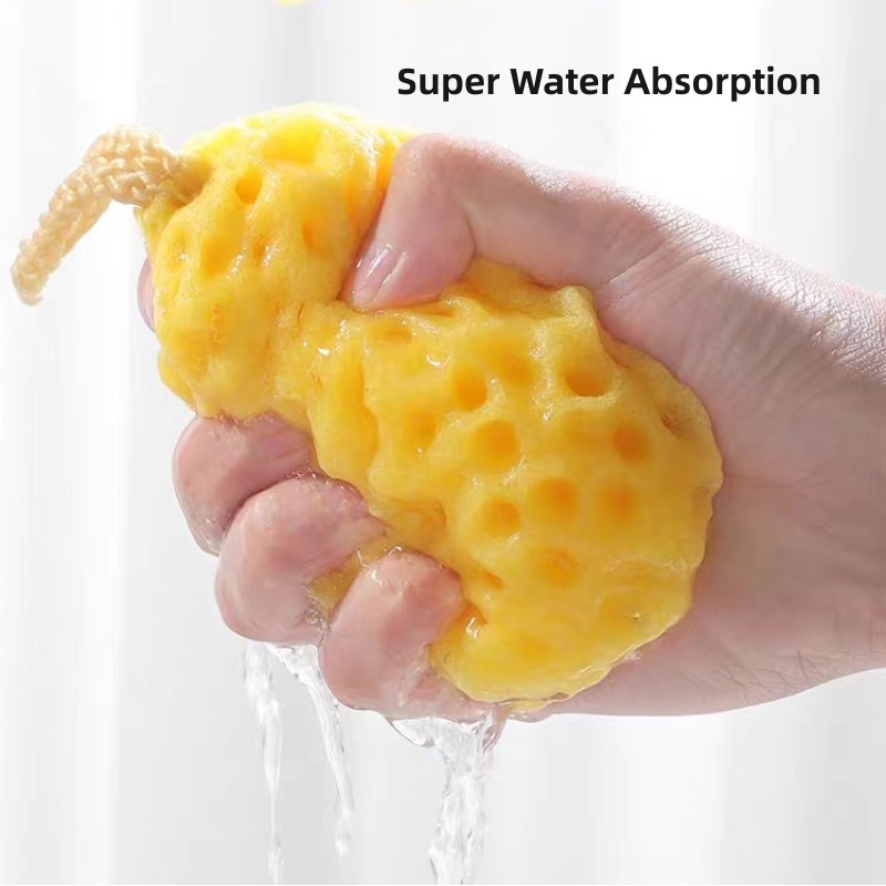 Bath Sponge