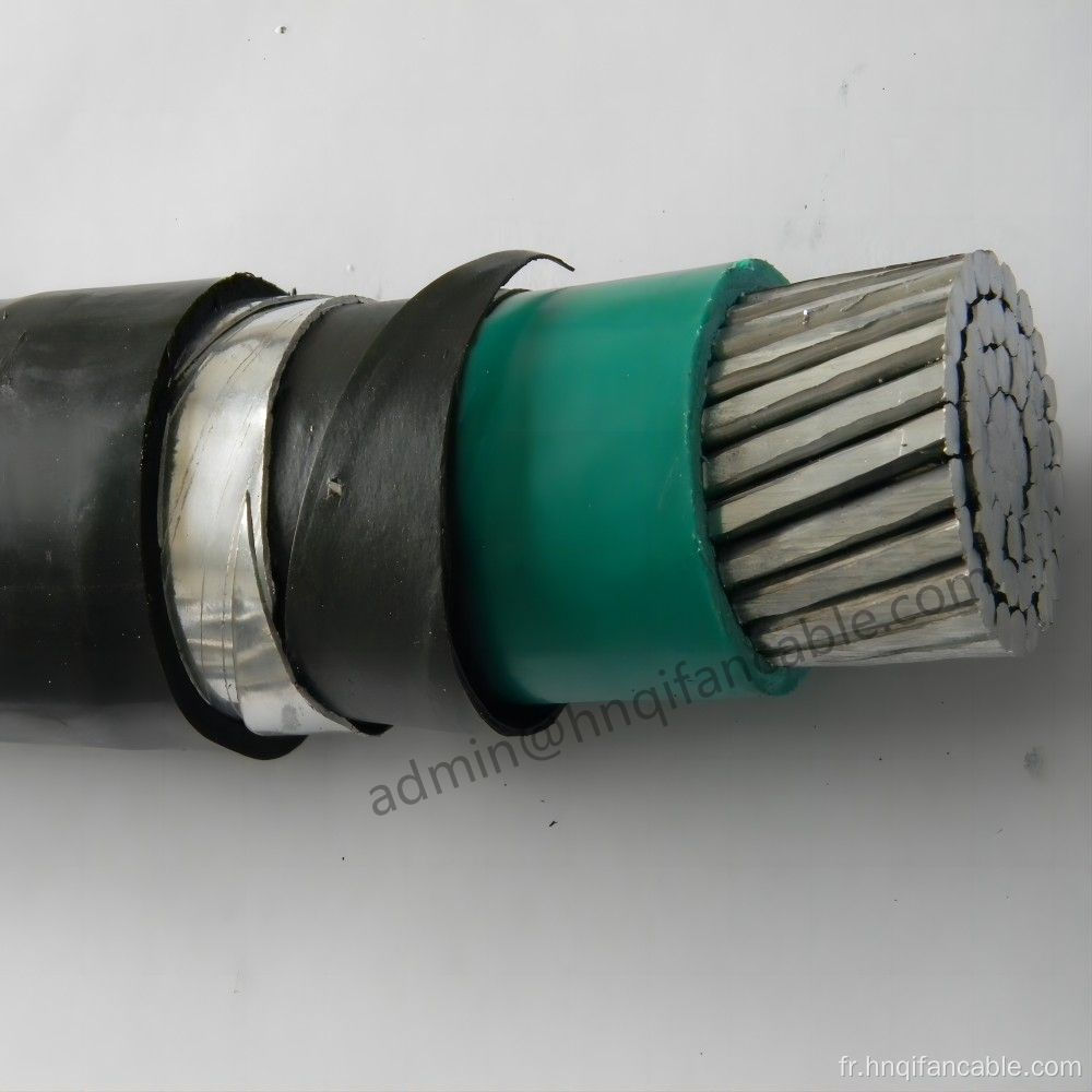 Câble d'alimentation isolé et blindé de 0,6 / 1kV XLPE 4 × 16