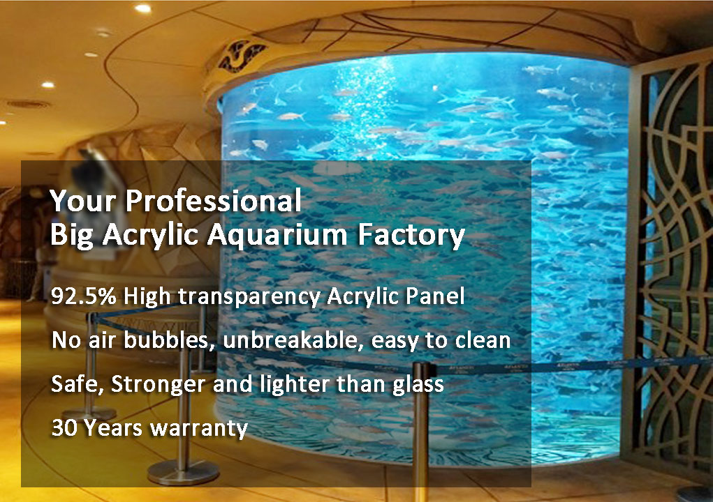 Acrylic Cylinder Aquarium