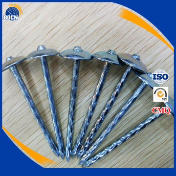 umbrella roofing nails Zinc Roofing nail With Umbrella Head
