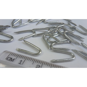 High Quality U Type Nails For Fence