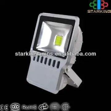 CE RHOS Flood  Led Lamp