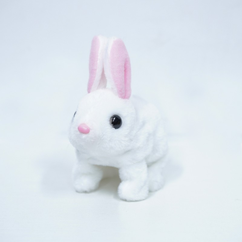 rabbit