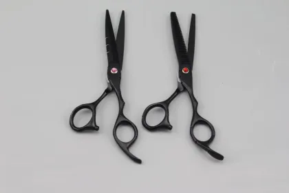 GOLDLLAR 6 Inch Stainless Steel Barber Scissors for Stationery and Haircut