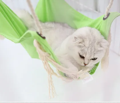 Soft cat hammock for cage petsmart