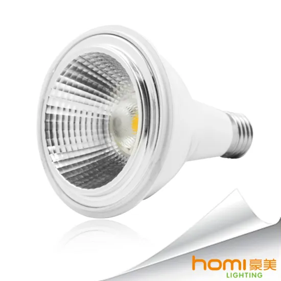LED PAR Light 12W