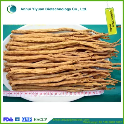 Codonopsis radix and dangshen