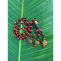 Natural Lopa Seed Necklace W/Bodhi Beads