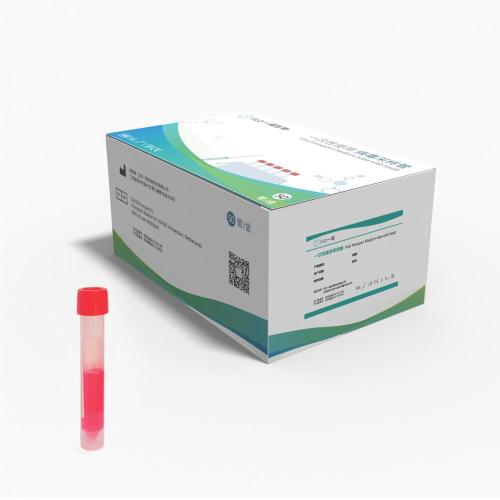Medical disposable test tubes and swab products