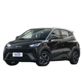 2024 BYD BAYAGULL ELECTRIC COCH - Mejor precio 4 asiento EV