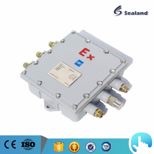 IECEx approved Coriolis mass flow transmitter