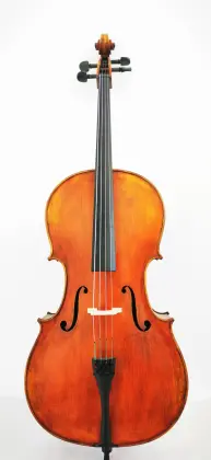 Professional Chinese Spruce Advanced Cello
