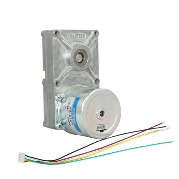 High Quality Smoker Pellet BBQ Grill Gear Reducer with 4.8RPM DC Motor
