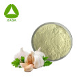 Quercetin Dihydrate Garlic Extract Powder Allicin Free Sample Supplier