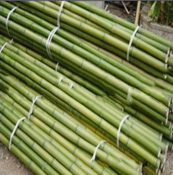 Environmental protection bamboo pole