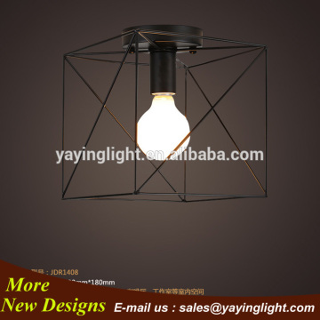 Elegant and simple Ceiling Lighting, household and restaurant Ceiling lamp,unique and special ceiling lamp lighting