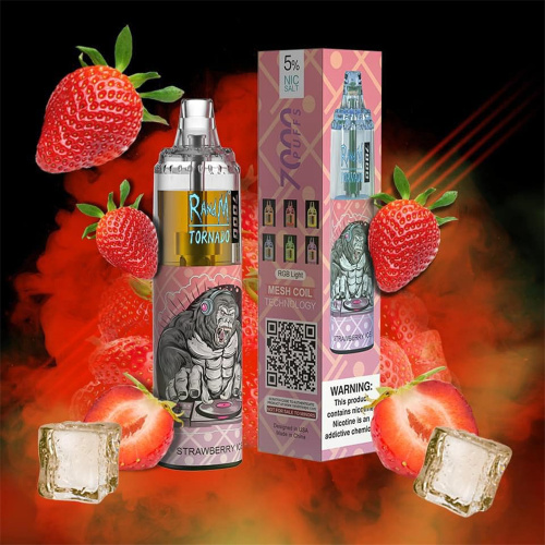 Wholesale Price RandM Tornado 7000 Puffs Disposable Vape